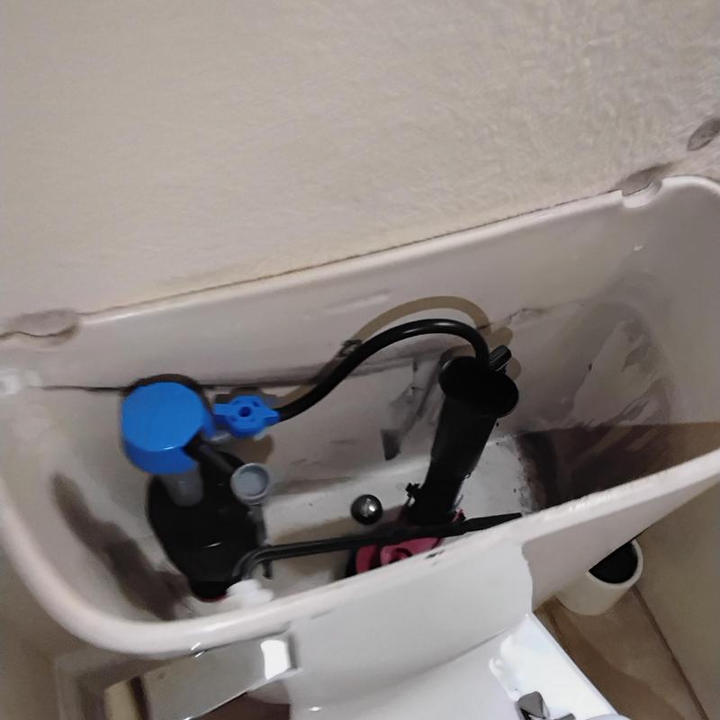 Toilet tank interior with new gasket and shutoff valve Toilet tank interior with new gasket and shutoff valve