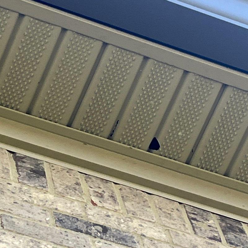 Metal soffit panel with hole damage on brick home