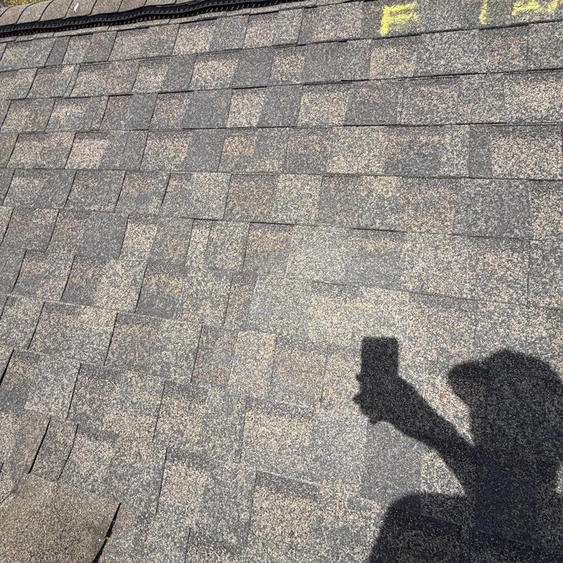 Asphalt roof shingles with hail damage and markings
