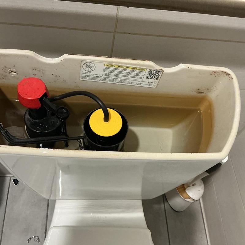 Kohler toilet flapper and fill valve inside tank Kohler toilet flapper and fill valve inside tank