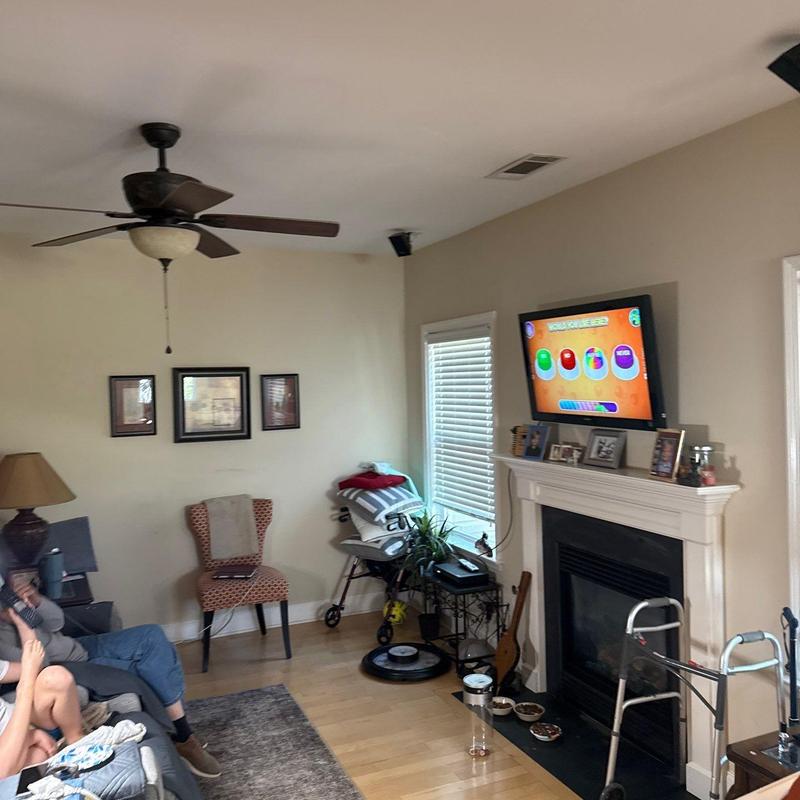 Ceiling fan and light fixture in living room