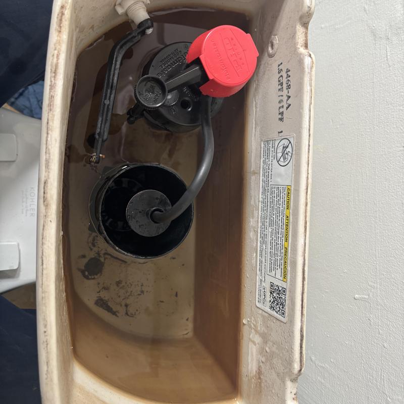 Toilet tank with fill valve and flush valve components Toilet tank with fill valve and flush valve components