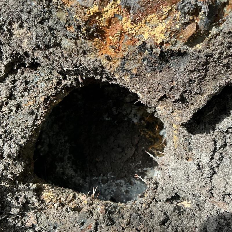 Sewer pipe opening clogged with soil and debris Sewer pipe opening clogged with soil and debris