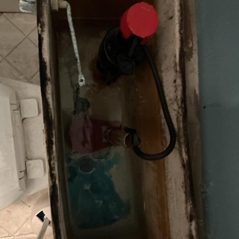 Toilet flush valve and flapper replacement inside tank Toilet flush valve and flapper replacement inside tank