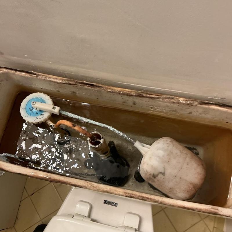 Toilet flush valve and flapper inside tank Toilet flush valve and flapper inside tank