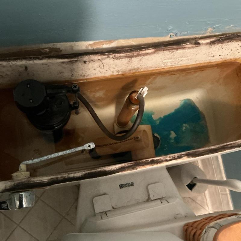 Toilet flush valve and flapper inside tank Toilet flush valve and flapper inside tank