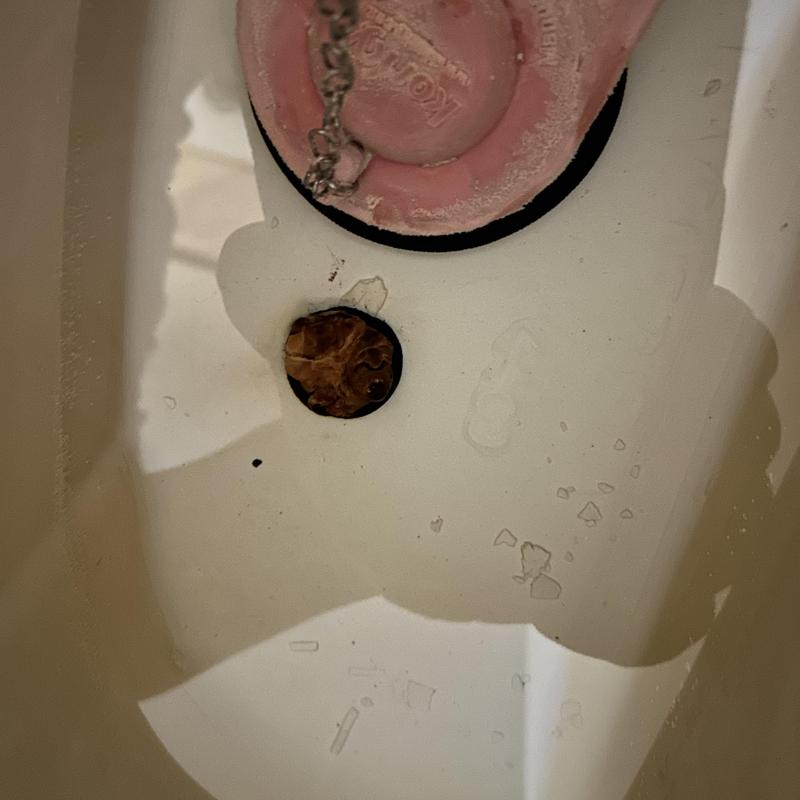 Toilet flush valve with mineral buildup and water stains