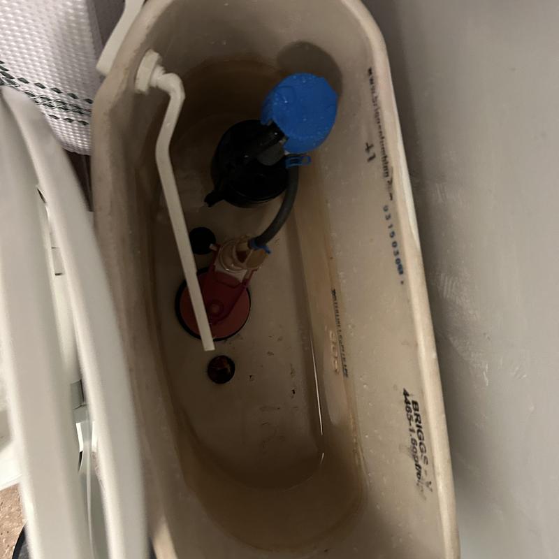 Toilet flush tank interior with fill valve and flapper components