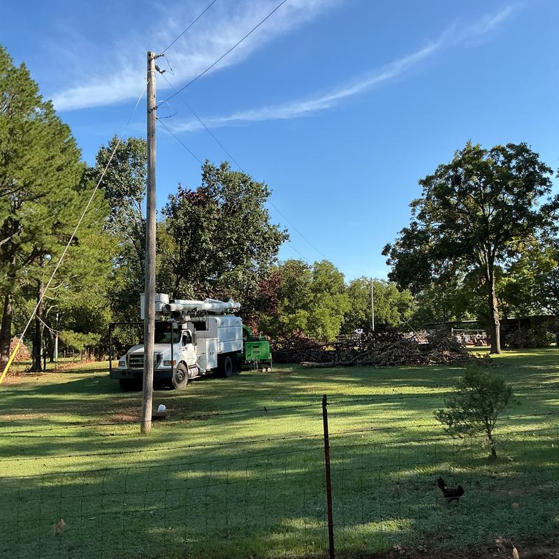 Storm-damaged tree cleanup with chipper and skid steer