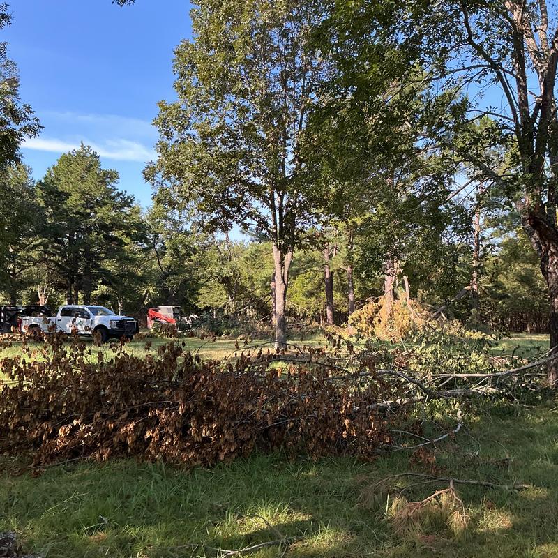 Storm-damaged tree branches cleanup in Welling, OK