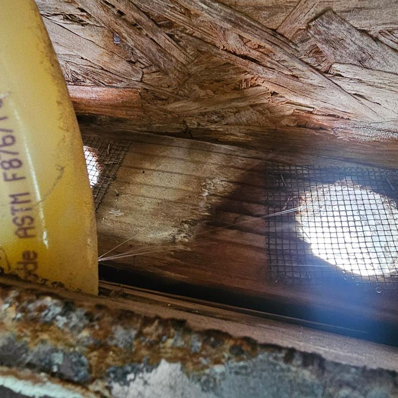 1-inch PEX water pipe leak in ceiling cavity