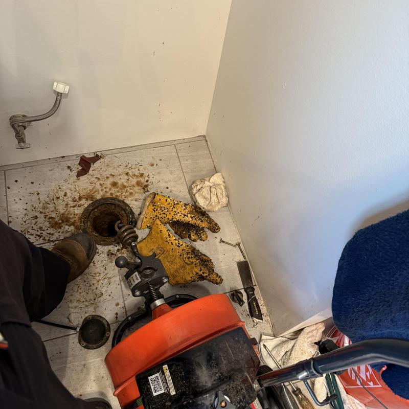 Main sewer line with plumbing snake and gloves