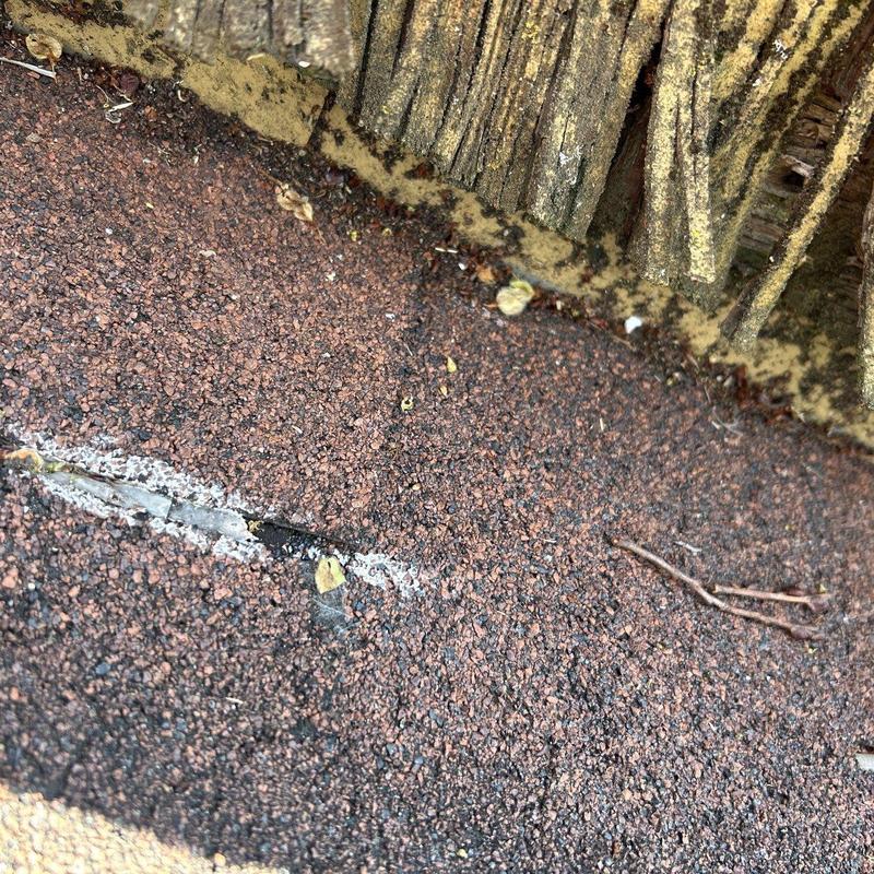 Roof shingle granule loss near ridge vent edge