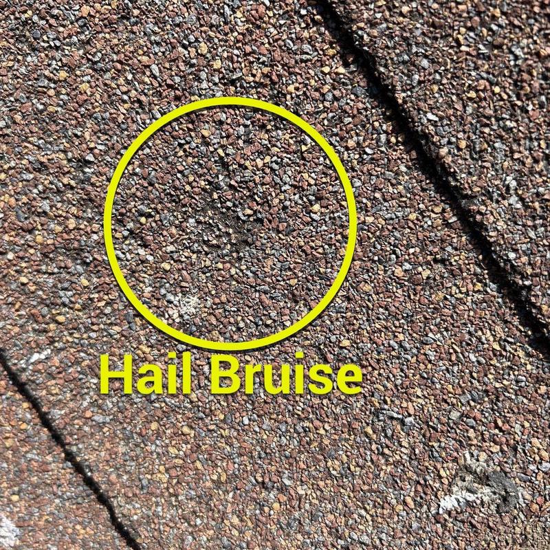 Asphalt shingle roof hail bruise on granules surface