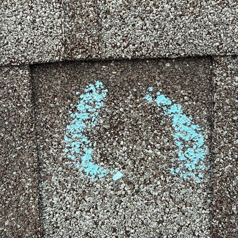 Asphalt roof shingles with hail damage marked in blue