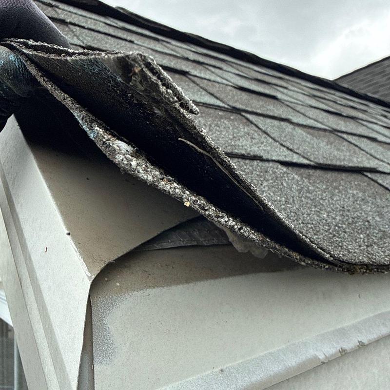 Asphalt shingle damage on roof edge and gutter system