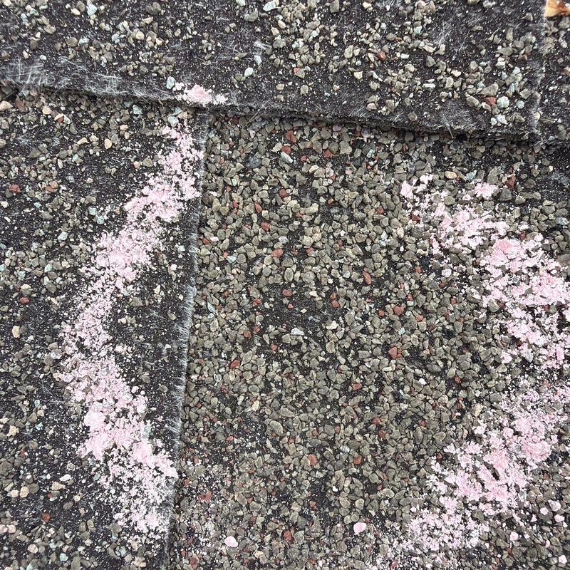 Asphalt shingle roofing with hail damage marked in pink