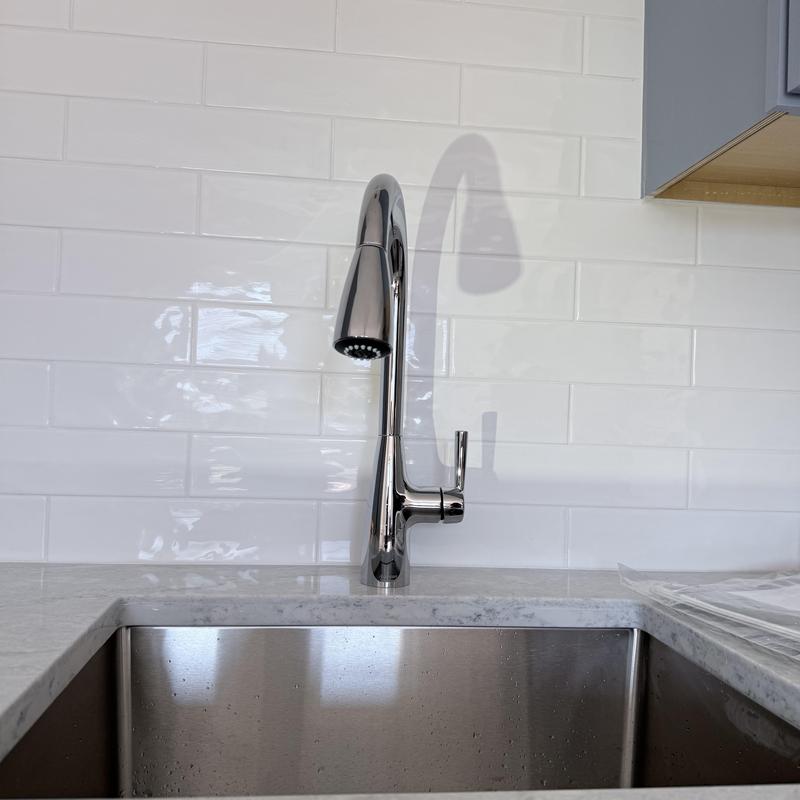 Kitchen faucet with pull-down sprayer and stainless sink
