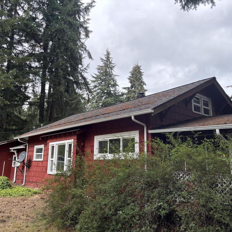 Asphalt shingle roof with moss and debris buildup