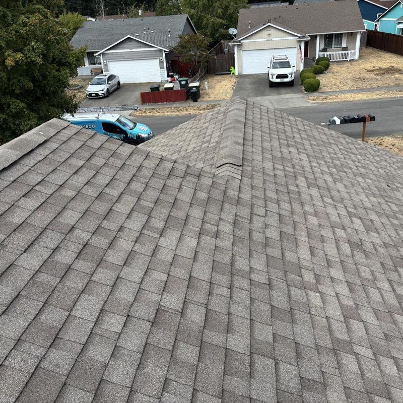 Asphalt shingle roof after professional cleaning in Hayden