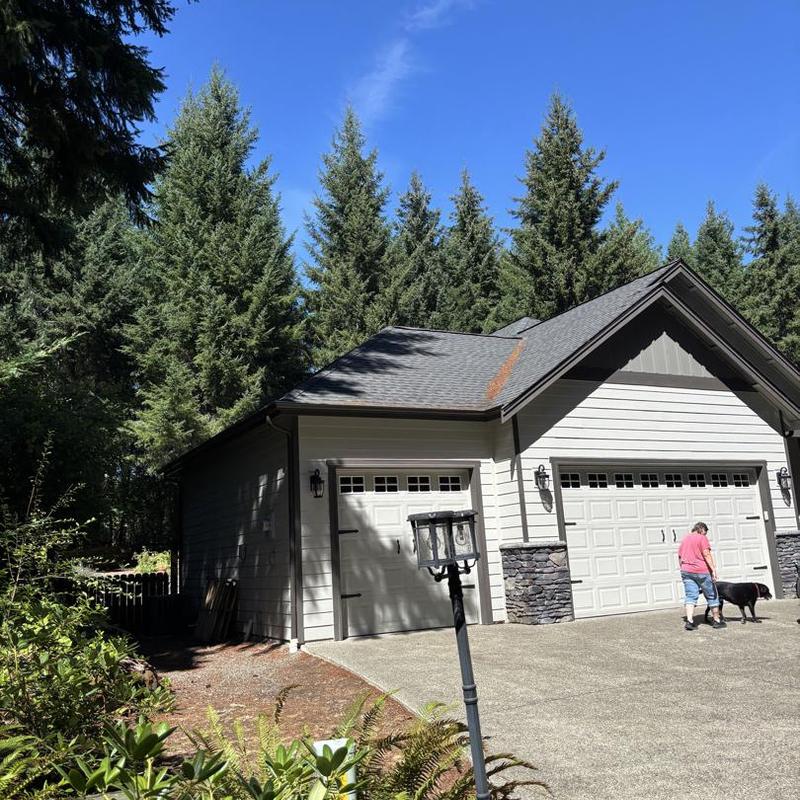 Roof shingles with moss cleaning near garage building