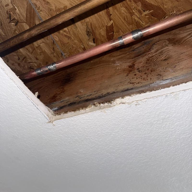 Type L copper pipe with new fittings in ceiling cavity