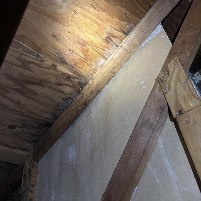 Roof plywood with water damage on interior rafters