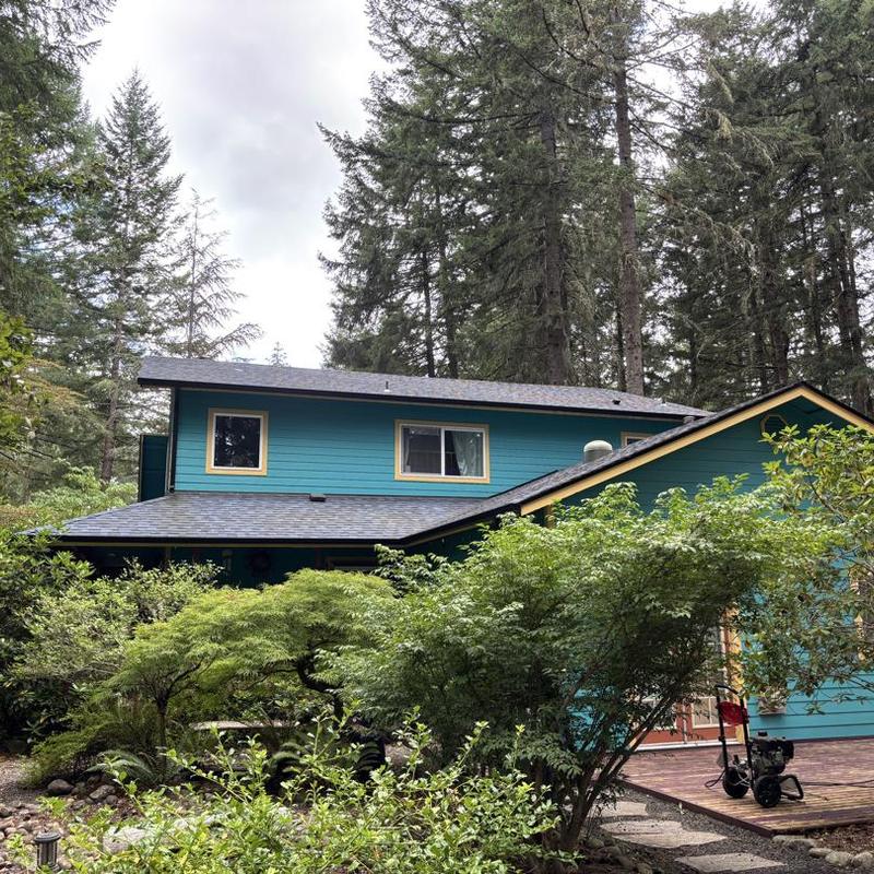Residential asphalt shingle roof with tree branch hole patch