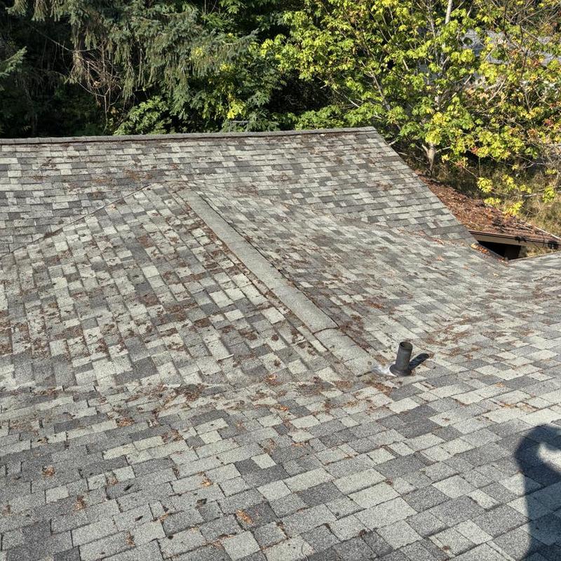 Asphalt shingle roof with ridge vent and vent pipe