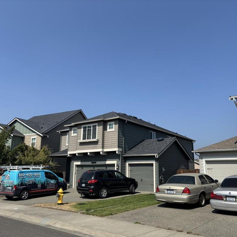 Asphalt shingles with visible damage on residential roof