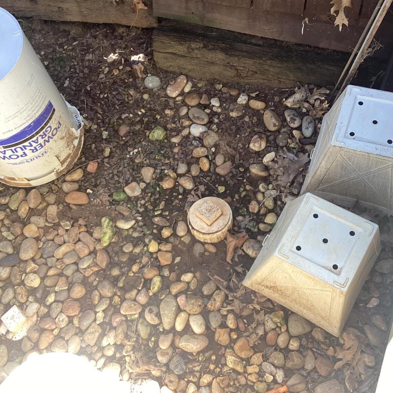 Main line cleanout cap surrounded by rocks and debris