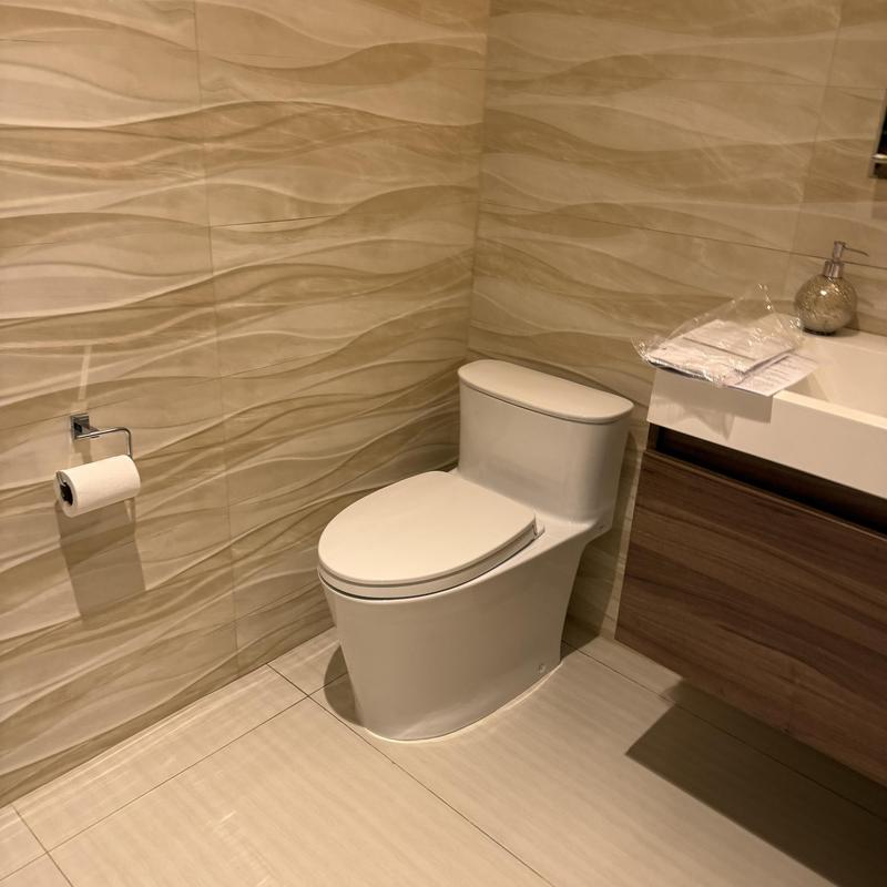 Toto one-piece toilet with wax ring and supply line