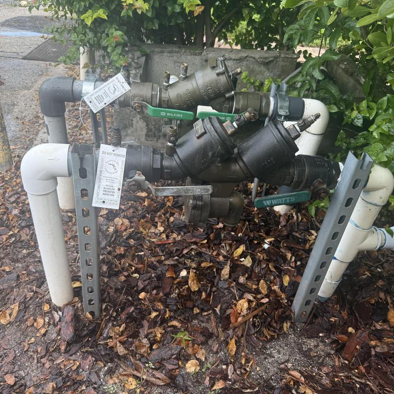 Backflow prevention device with valves and piping system
