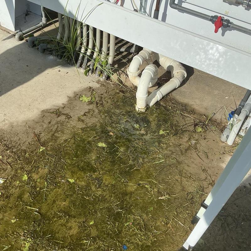 PVC wastewater pipes at plant with water pooling nearby