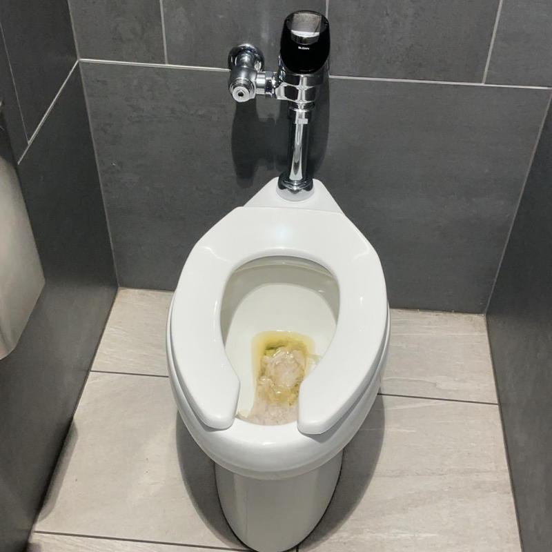 Toilet sensor flush valve in women's bathroom