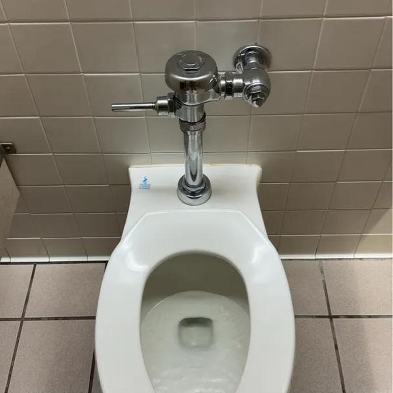 Toilet flush valve with chrome flushometer installed