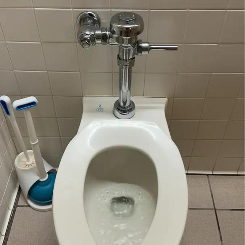 Toilet flush valve with vacuum breaker parts replacement