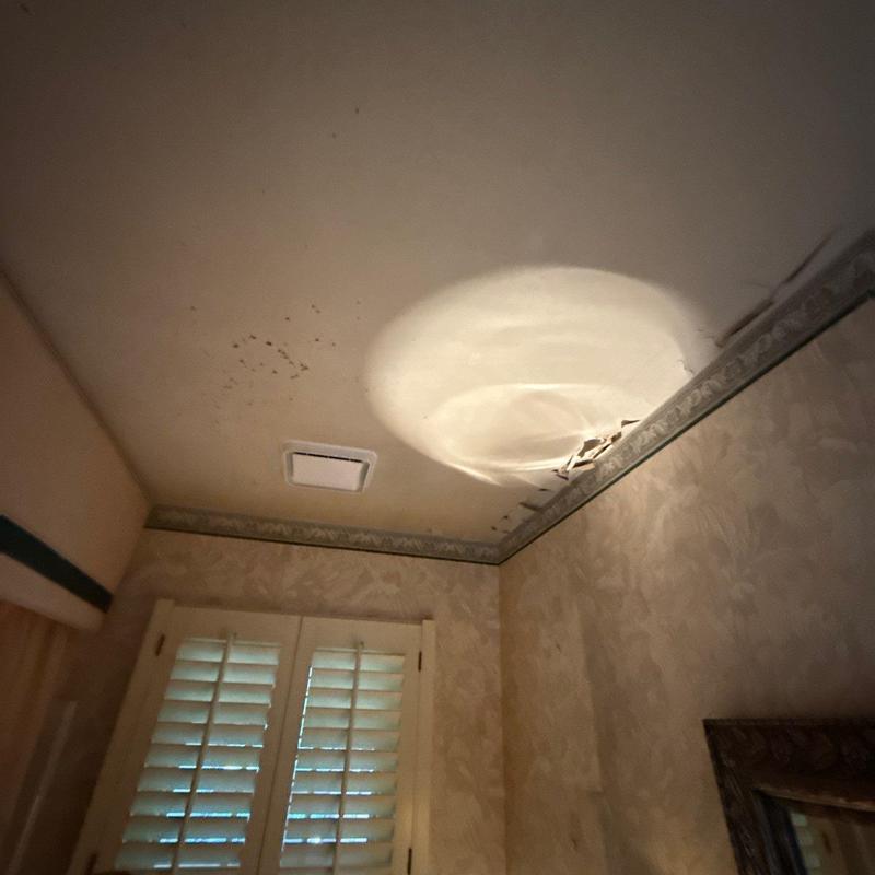 Ceiling drywall with water damage and mold spots