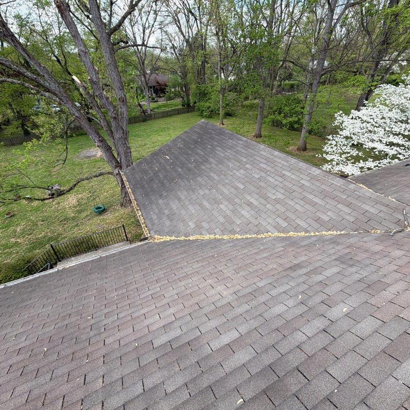 Asphalt shingle roof with hail impact damage