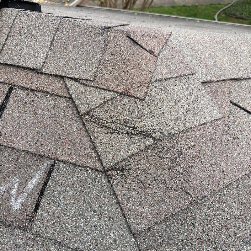 Asphalt roof shingles with visible hail damage marks