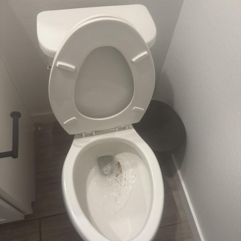 Toilet bowl with water flushing and minor debris inside Toilet bowl with water flushing and minor debris inside
