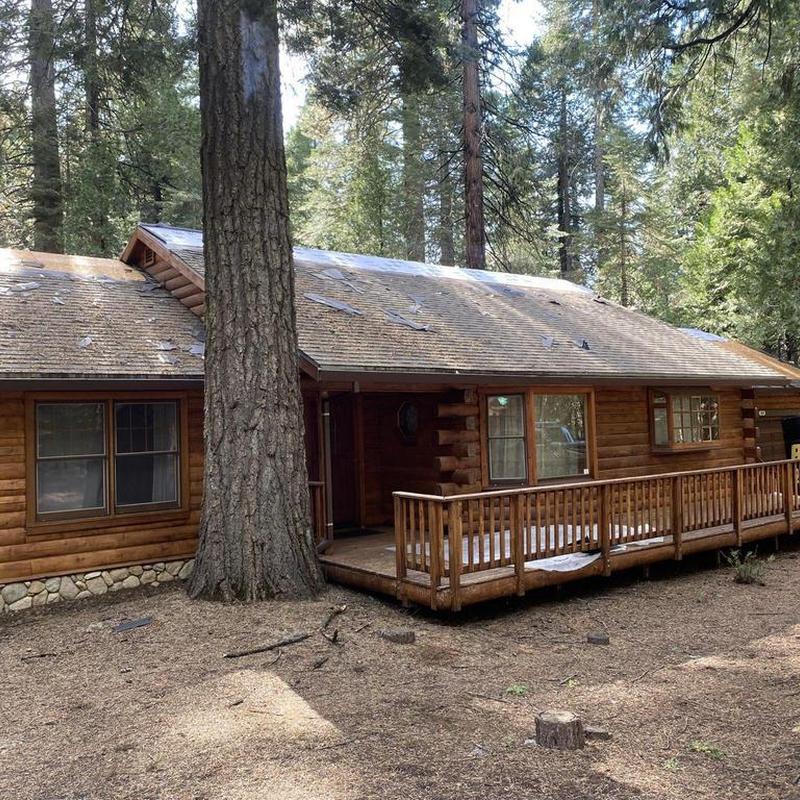 Asphalt shingle roof on cabin in forest environment