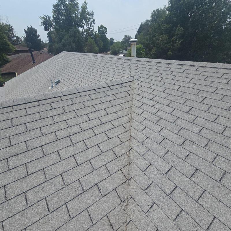 Asphalt shingle roof inspection showing hail damage Asphalt shingle roof inspection showing hail damage