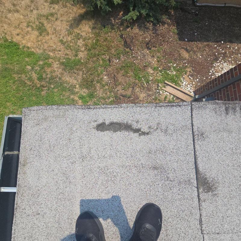 Flat roof with hail damage and wear patches Flat roof with hail damage and wear patches