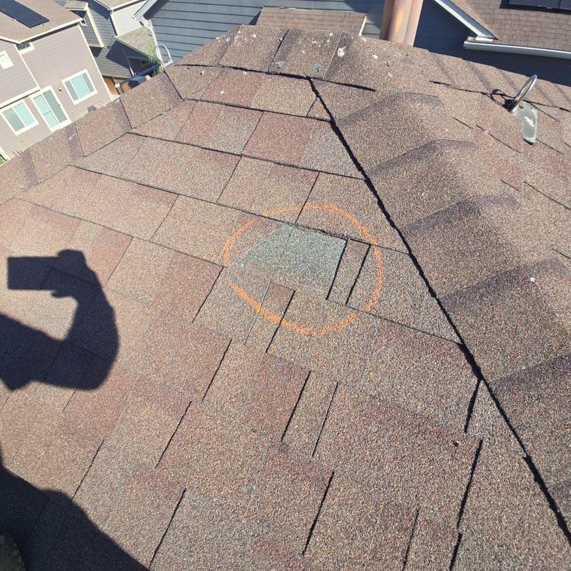 Roof shingles with damage marked for repair Roof shingles with damage marked for repair