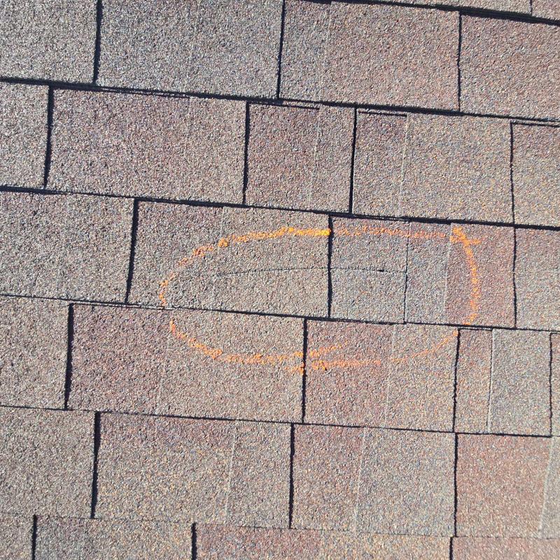 Roof shingles with damage marked in orange circle Roof shingles with damage marked in orange circle