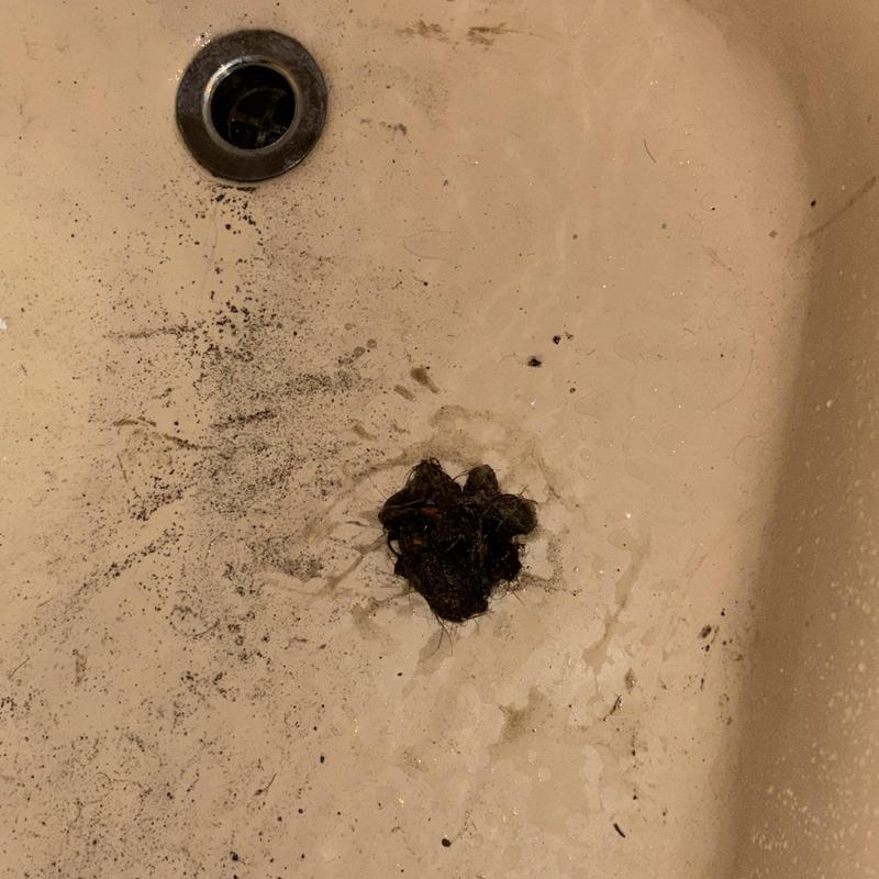 Bathtub drain clog with removed hair and debris