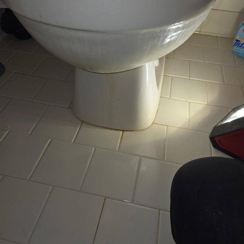 Toilet base on tiled bathroom floor with cleaning supplies
