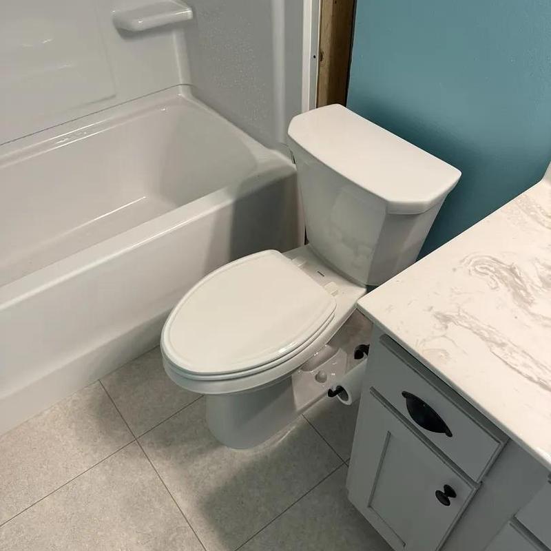 Toilet and tub-shower insert in remodeled bathroom