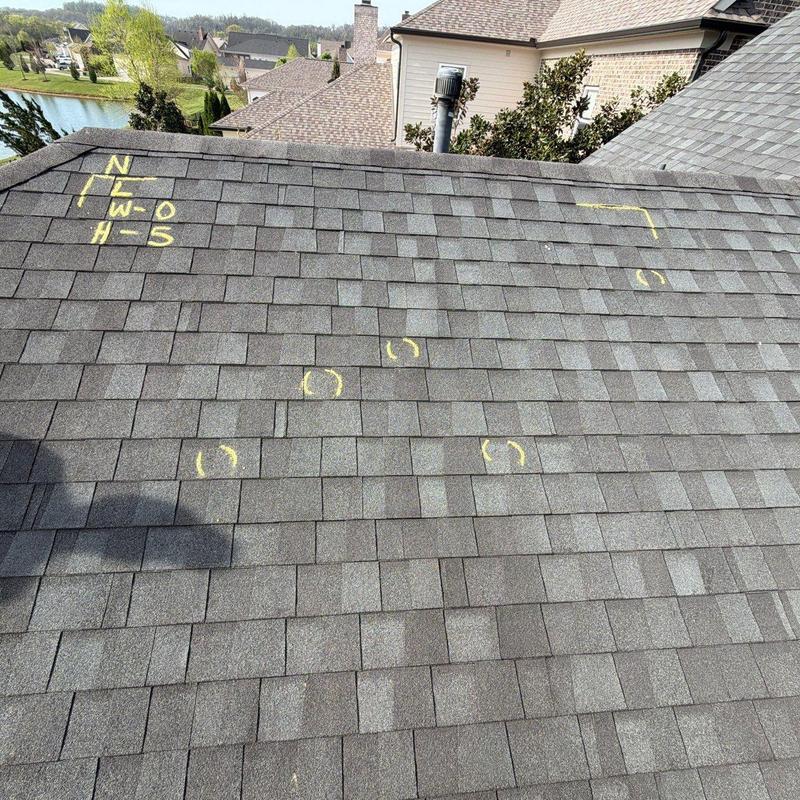 Asphalt shingles with hail damage marked in yellow